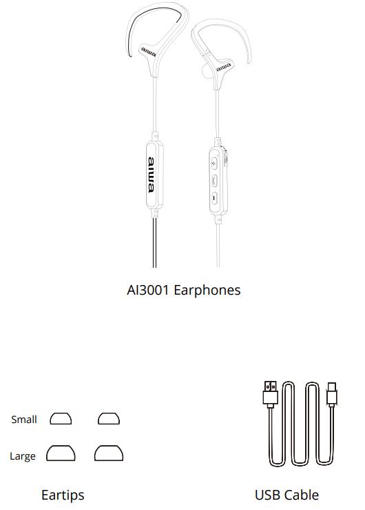 AIWA Train In-Ear Wireless Earphones-WHAT’S INCLUDED